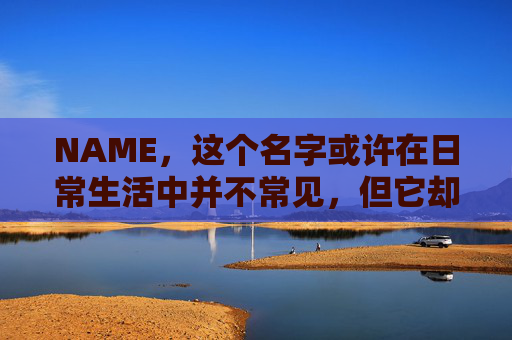 NAME，这个名字或许在日常生活中并不常见，但它却在某些领域里扮演着重要的角色。今天，让我们一起来探索这个名字背后的故事和意义